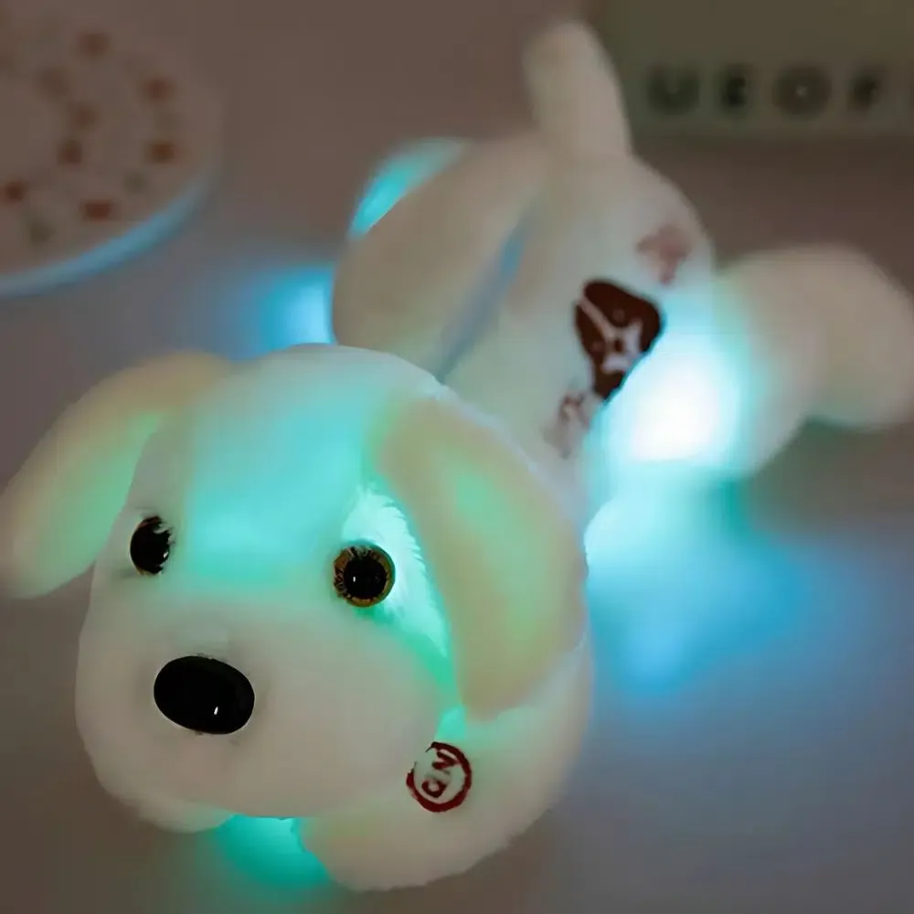 Veilleuse peluche de chien – Image 8